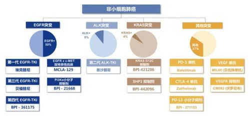 貝達藥業啟示錄 曾經的創新藥 第一股 是如何掉隊的