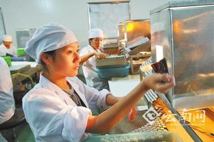 云南省醫藥工業投資持續增長，產業升級與區域發展同頻共振